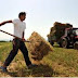 Επισημάνσεις προς τους αγρότες για την πιστή τήρηση των μέτρων αποτροπής διάδοσης του κορωνοϊού