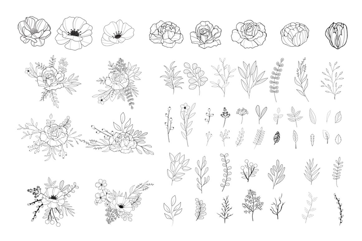Hand drawn vector Hand drawn vector