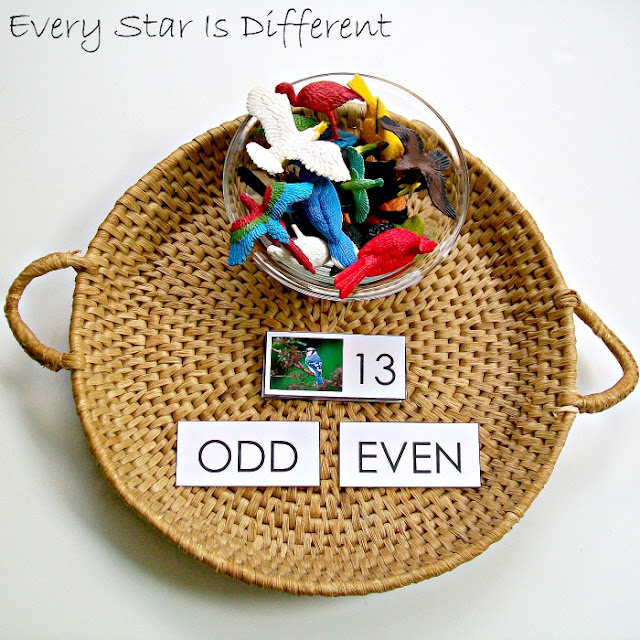 Odd and Even Numbers with Birds Activity (Free Printable)