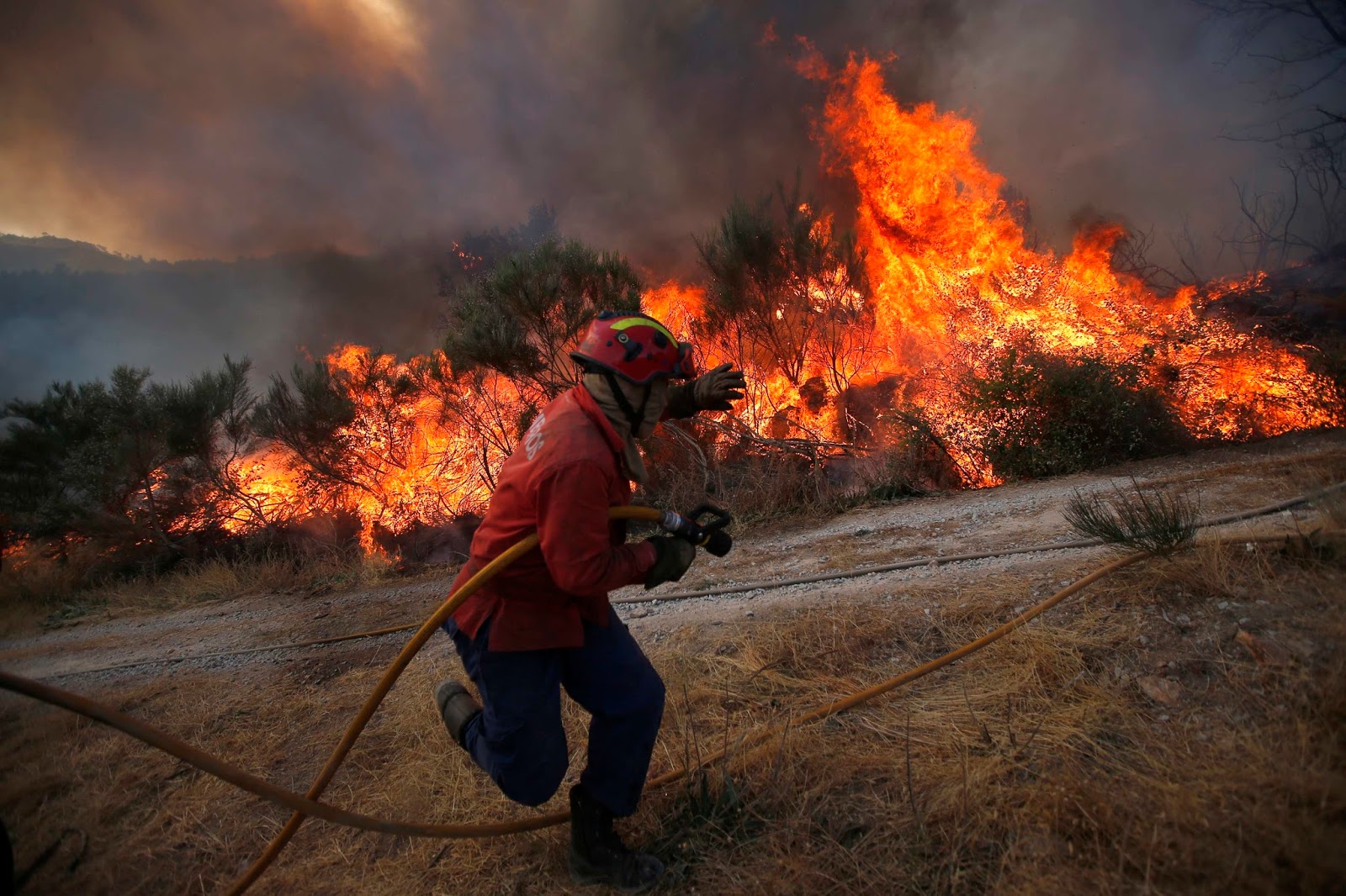 пожаре и чужих лиц. рисунки на противопожарную тематику. мчс россии спасение ребенка. огнеупорный фильм 2008. чужой 4 воскрешение чужой.