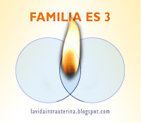 https://lavidaintrauterina.blogspot.com.es/2017/09/familia-es-3.html