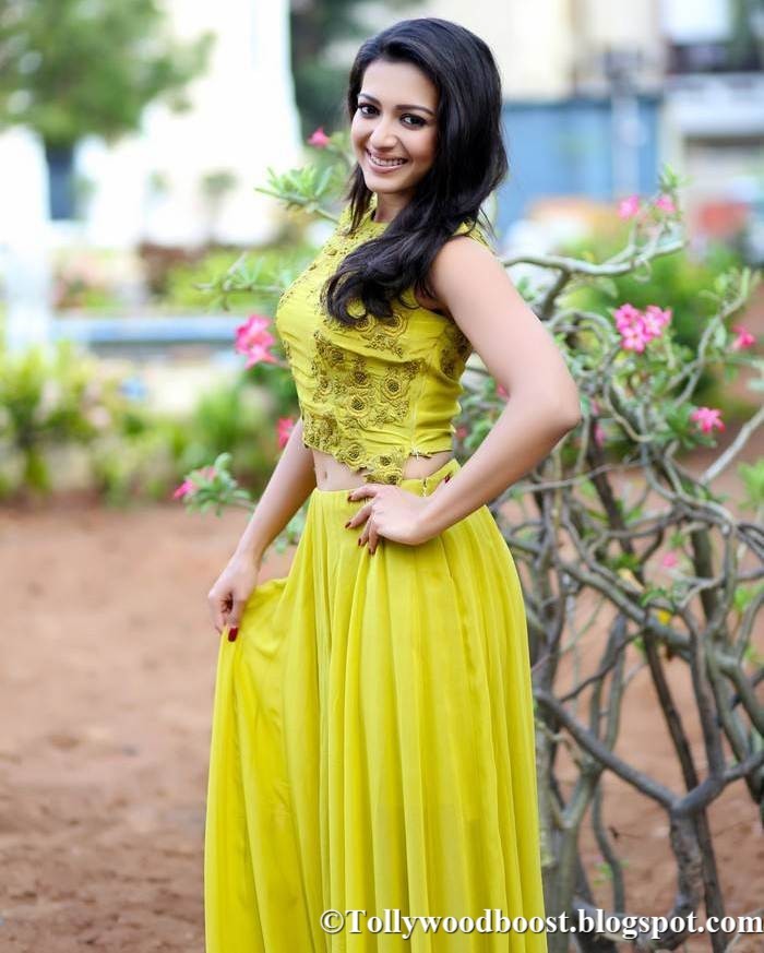Telugu Girl Catherine Tresa Photo Shoot In Lemon Yellow Dress