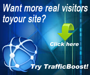 free website traffic  exchange