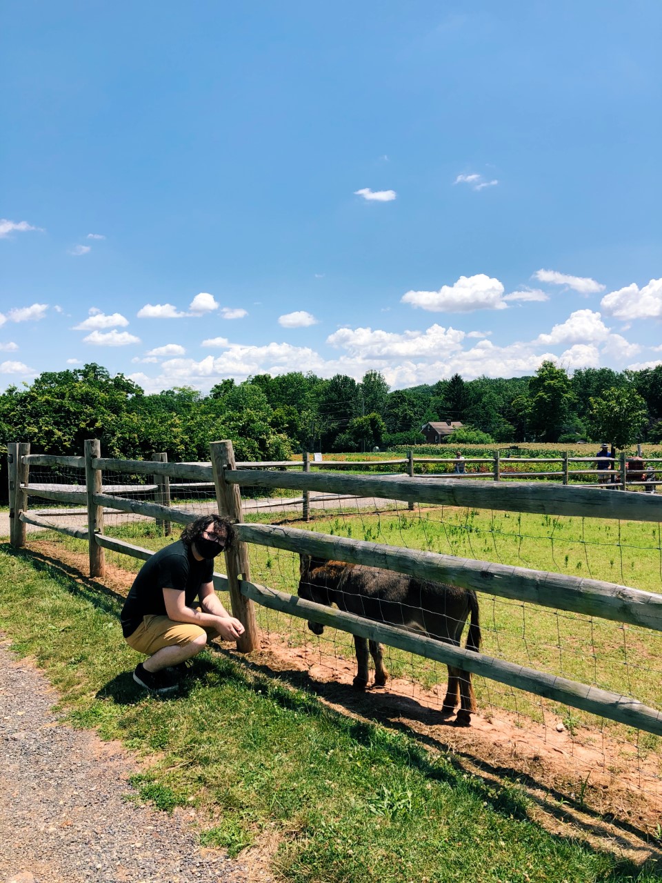 Flower Picking at Maple Acres Farm Organized Mess