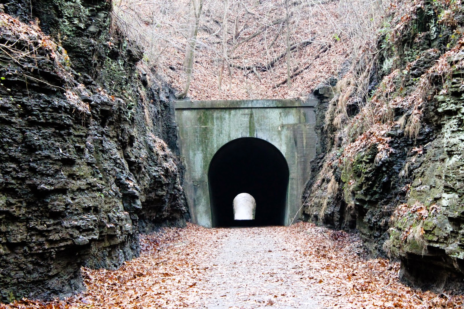 Experiencing Illinois Tunnel Hill State Trail