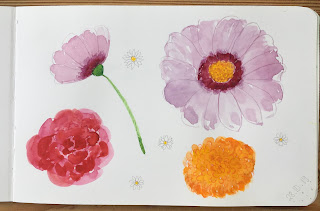 Skizzenbuch,  Blüten in Aquarell und Farbstifte
