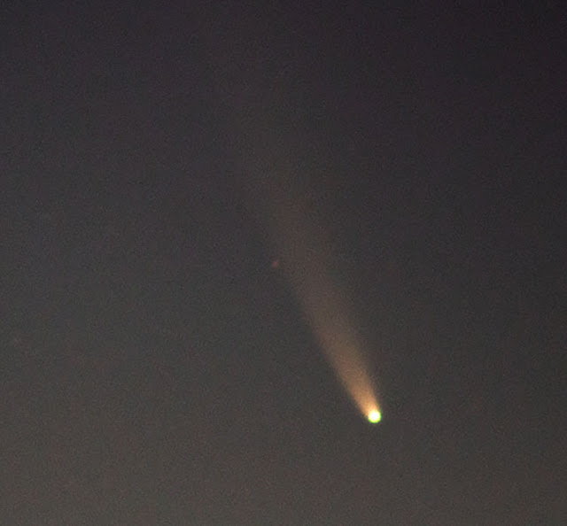 Comet NEOWISE C/2020 F3, at 4:51 AM, cropped image (Source: Palmia Observatory)