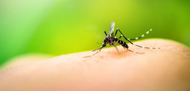 Atenção Iretama: Já são três casos confirmados de dengue