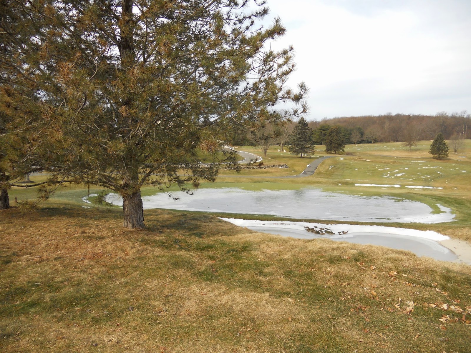 Mahopac Golf & Beach Club Greens Department