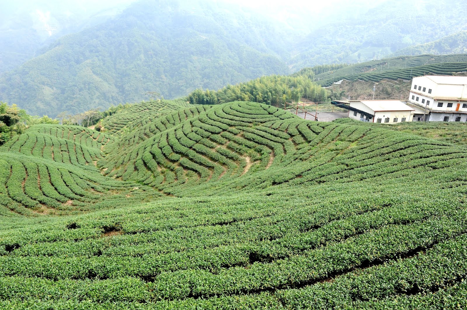 Остров тайвань