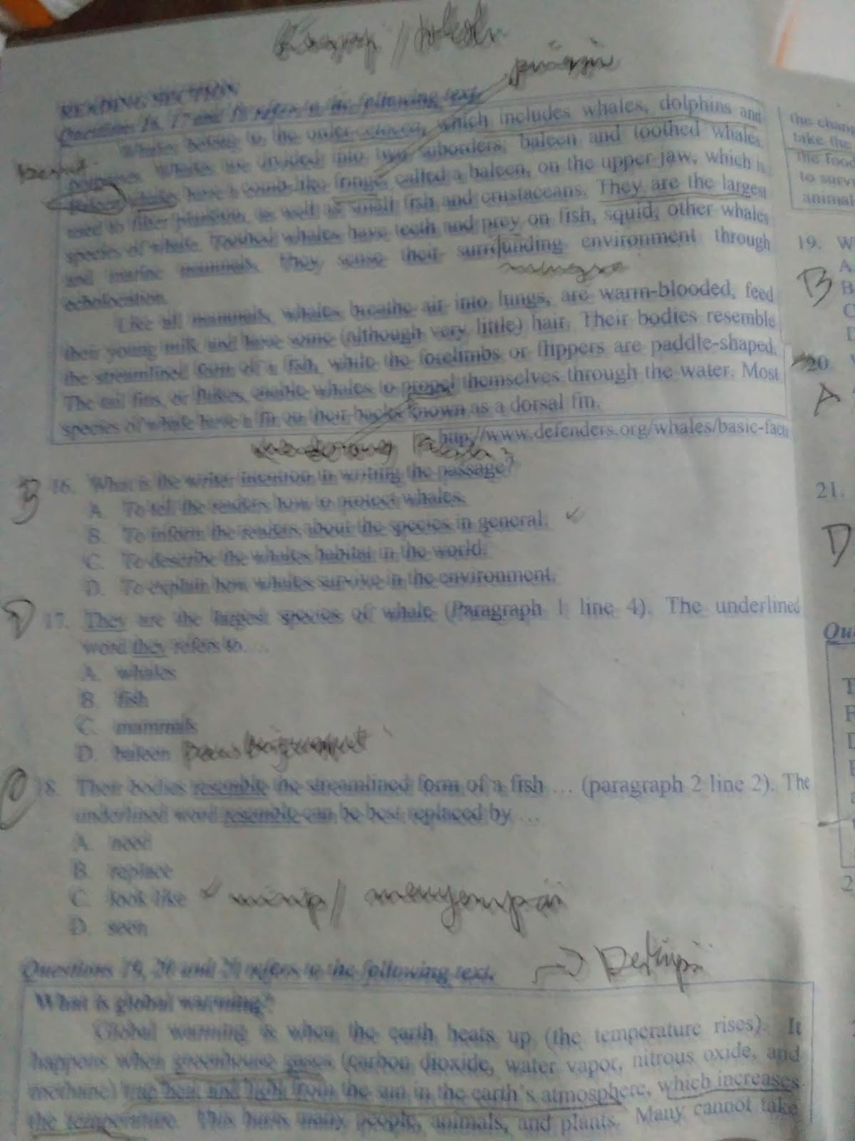 CONTOH SOAL ULANGAN AKHIR SEMESTER SIMULASI UJIAN