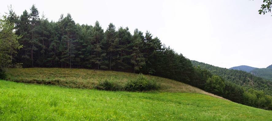 Rompe el aire De Sant Joan Fumat a Farrera dels Llops