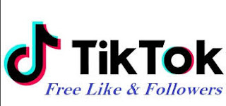 tiktok-followers-and-likes