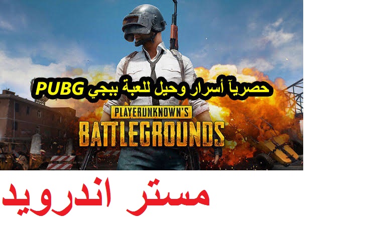 تحميل لعبة ببجي للكمبيوتر