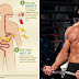 What Is Metabolism and How Does It Affect Us?