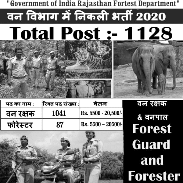 Job Chart Of Ministerial Staff In Rajasthan 