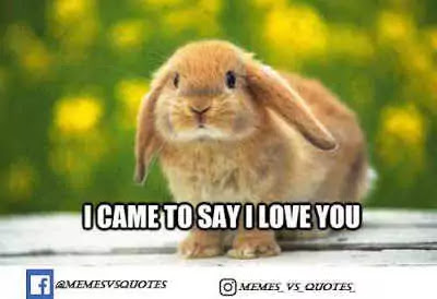 Click and get 101 best I Love You Meme that you can get anywhere else. I Love You Meme