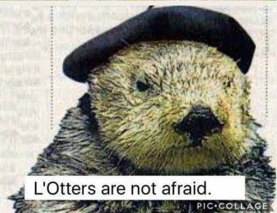 L'République Otters