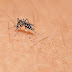 Vereador de Pereira Barreto está com dengue: “É horrível”