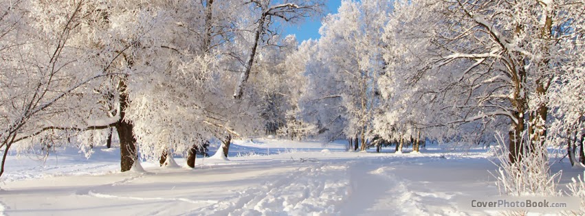Beautiful Wallpaper: Free Winter Facebook Covers for Timeline