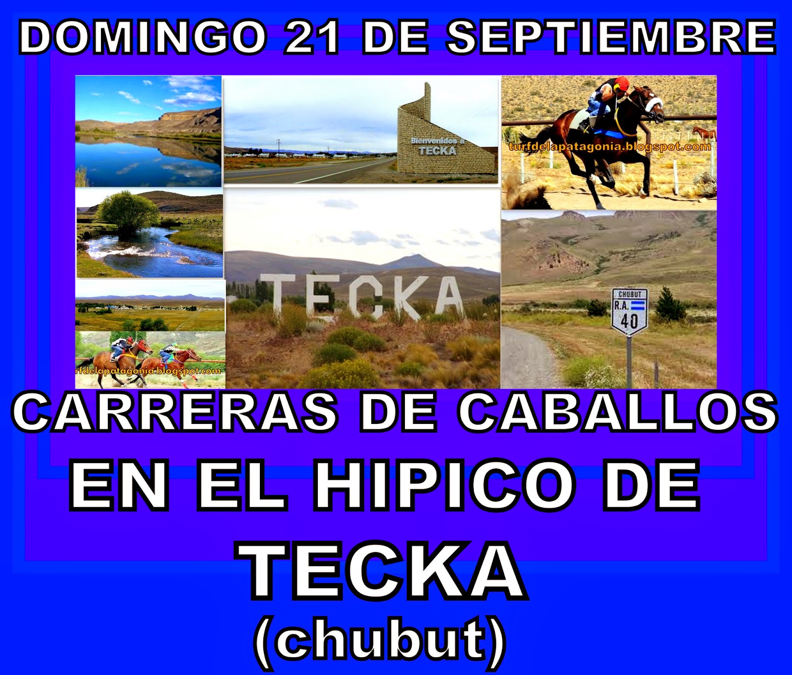 http://turfdelapatagonia.blogspot.com.ar/2014/09/2109-programa-de-carreras-de-caballos.html
