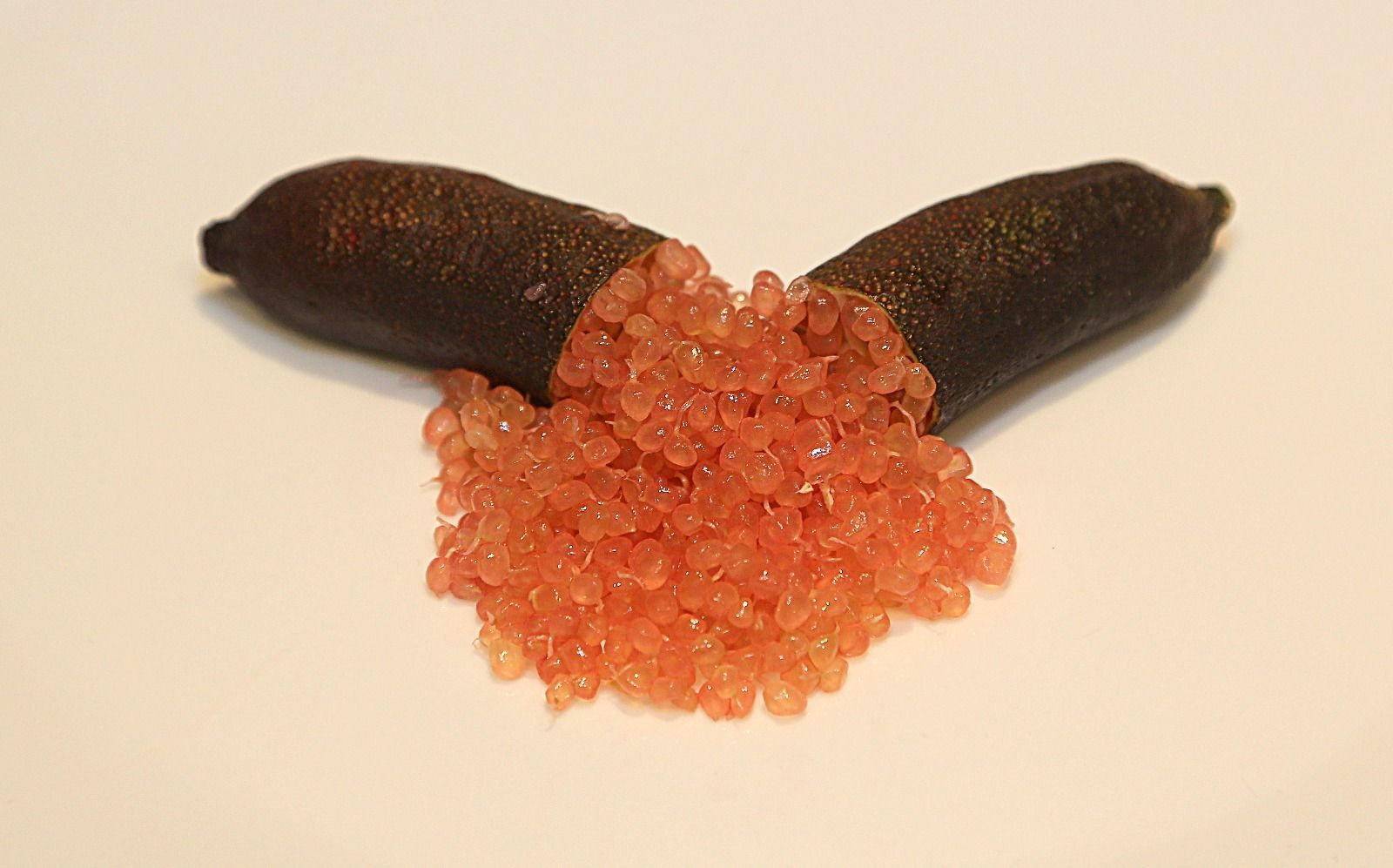 Plants For Sale Grafted Finger Lime Many Variety