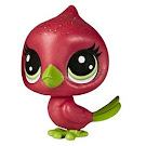 Littlest Pet Shop Keep Me Pack Big Pet Shop Apollo (#No#) Pet