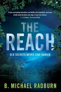 The Reach by B. Michael Radburn book cover