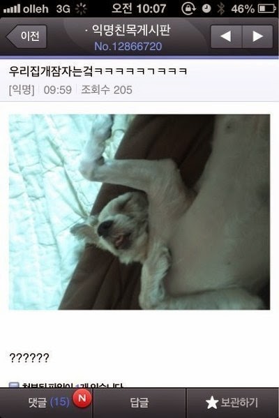 요즘에 그 이미쉘인가 걘 뭐하냐 | 인스티즈