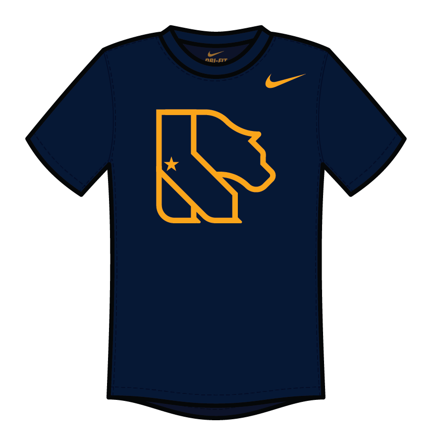 jordan gamma shirt