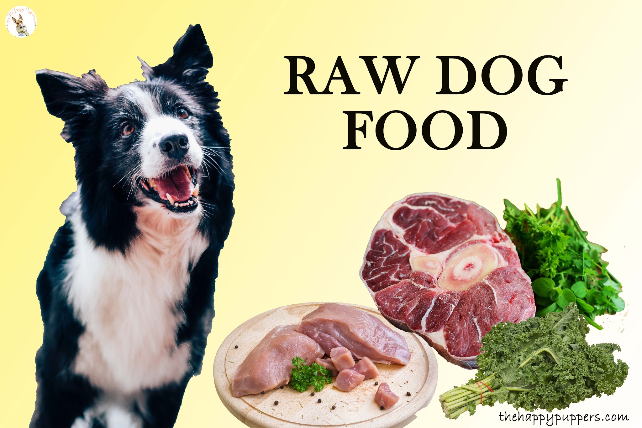 Raw dog food