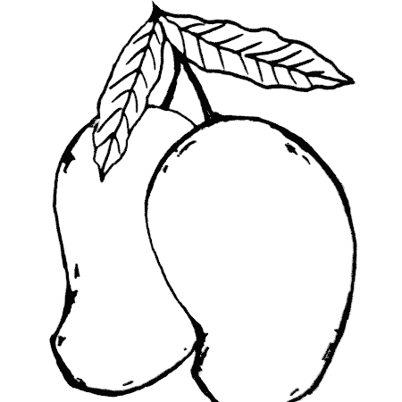 Contoh Gambar Mewarnai Gambar Jambu Mete - KataUcap