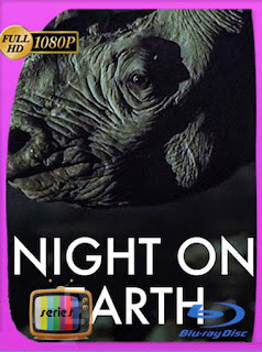 Night On Earth [2020] Temporada 1 HD [1080p] Latino [GoogleDrive] SXGO