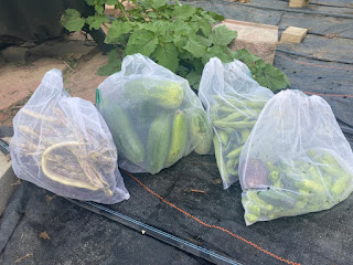 Bags of Produce