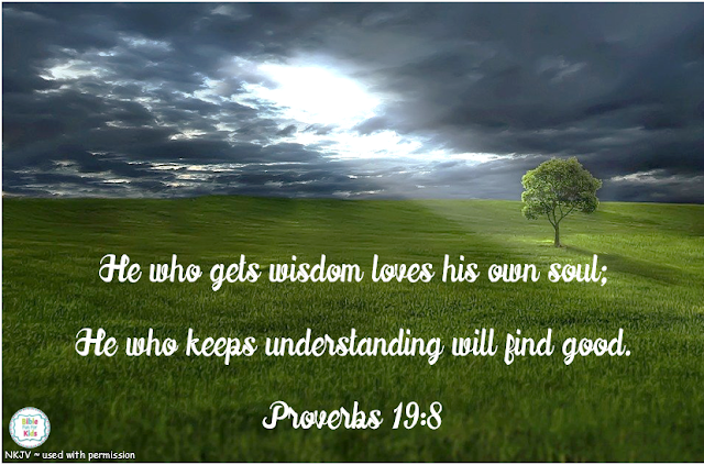 Wisdom and Understanding is Good for your soul #Biblefun #Biblequote #meaningfulscripture #scripturequote