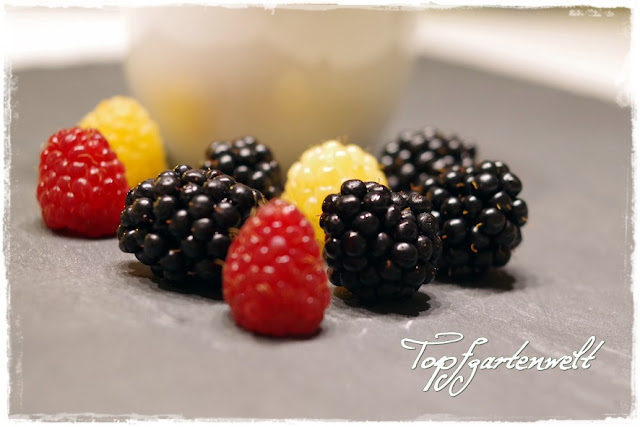 Brombeeren Himbeeren