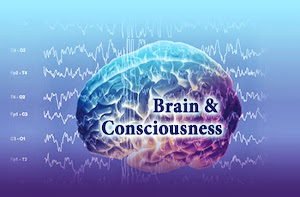 The Conscious Brain