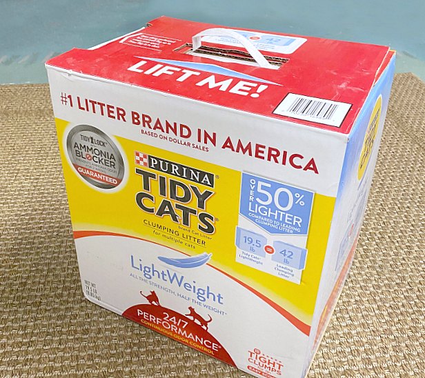 Recycled Cardboard Box from Cat Litter