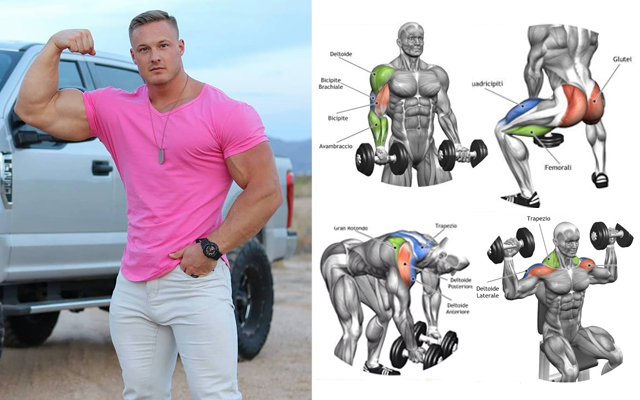 Gain Muscle Mass Using Only Dumbbells With 10 Demonstrated Exercises