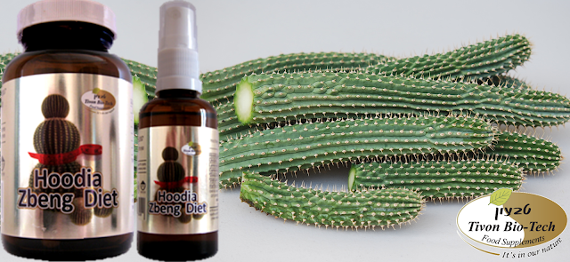 ללעוס את ההודיה