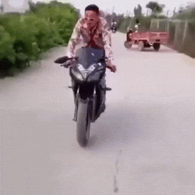 daily_gifdump_3371_20.gif