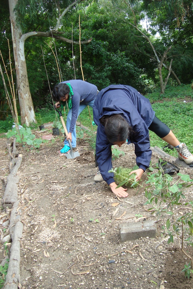 elhuertodelaquebrada: junio 2011