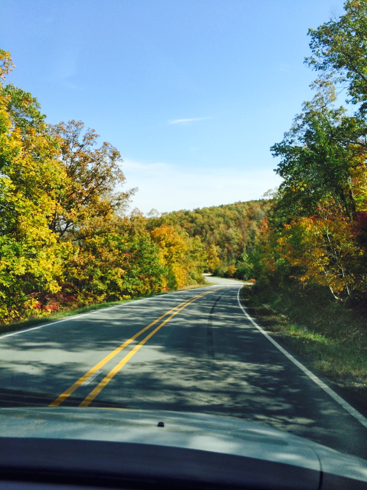 Hungry While Teaching Bean Festival. Mountain View, Arkansas.