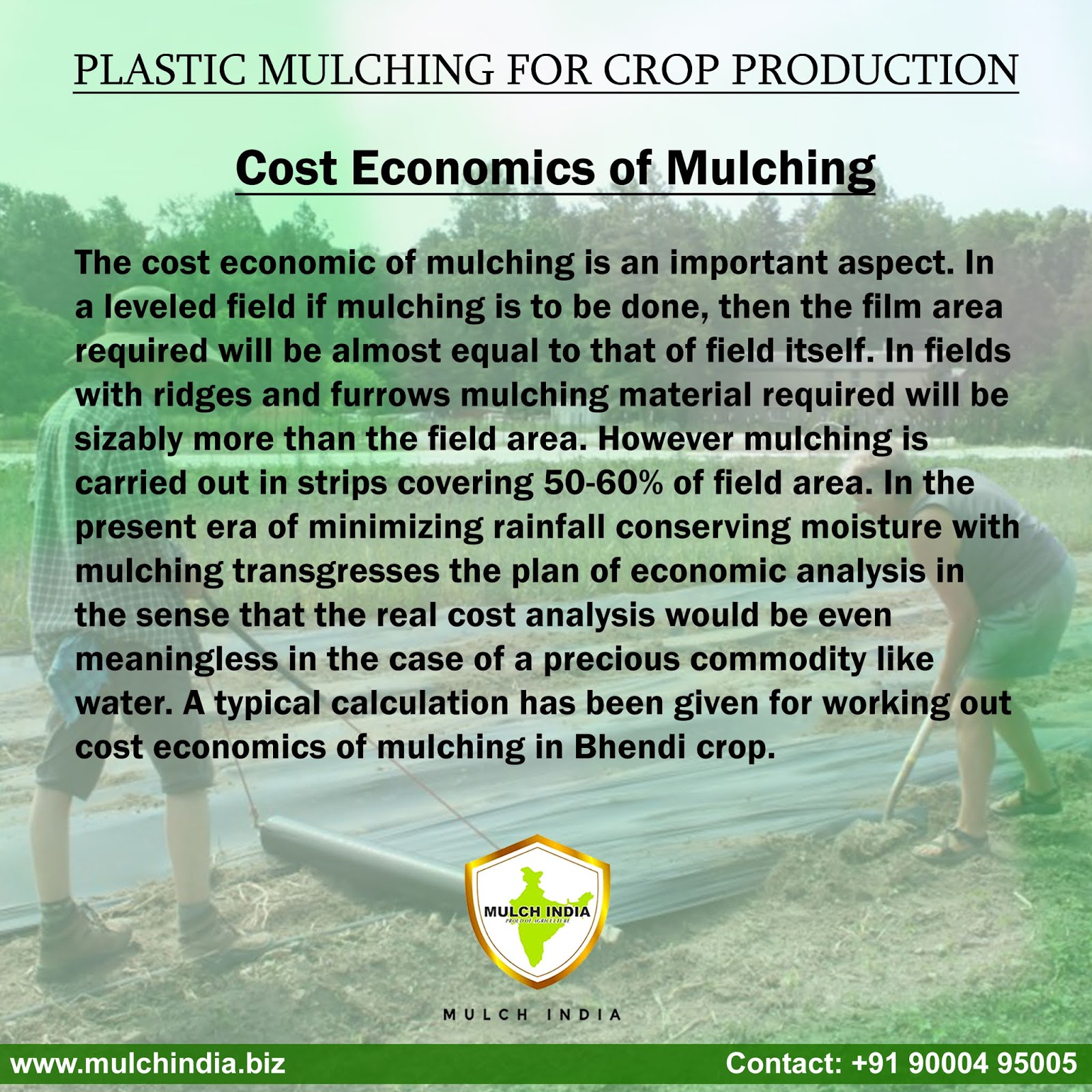 MulchIndia Cost economics of mulching Mulch India Call us +91