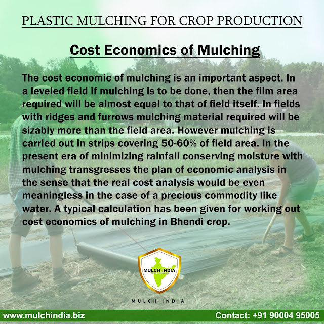 MulchIndia Cost economics of mulching Mulch India Call us +91