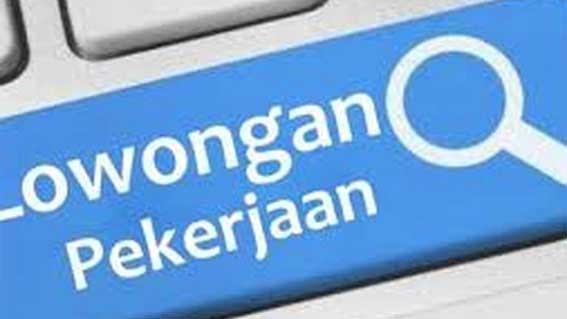 Dinas Kominfo Solok Buka Lowongan Untuk Programmer