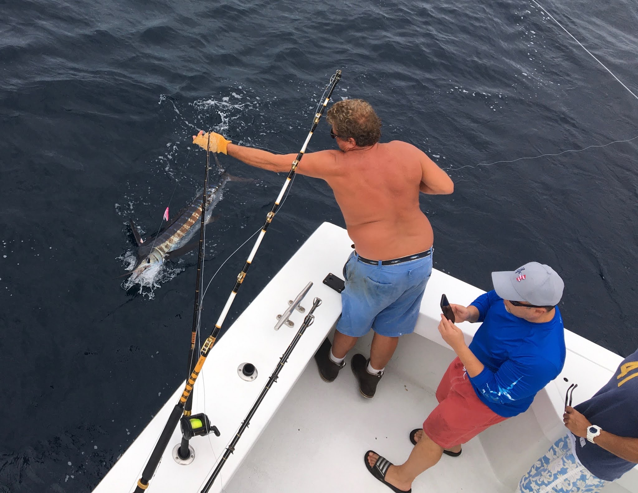 Outer Banks Fishing Charter Catch & Release of a White Marlin and