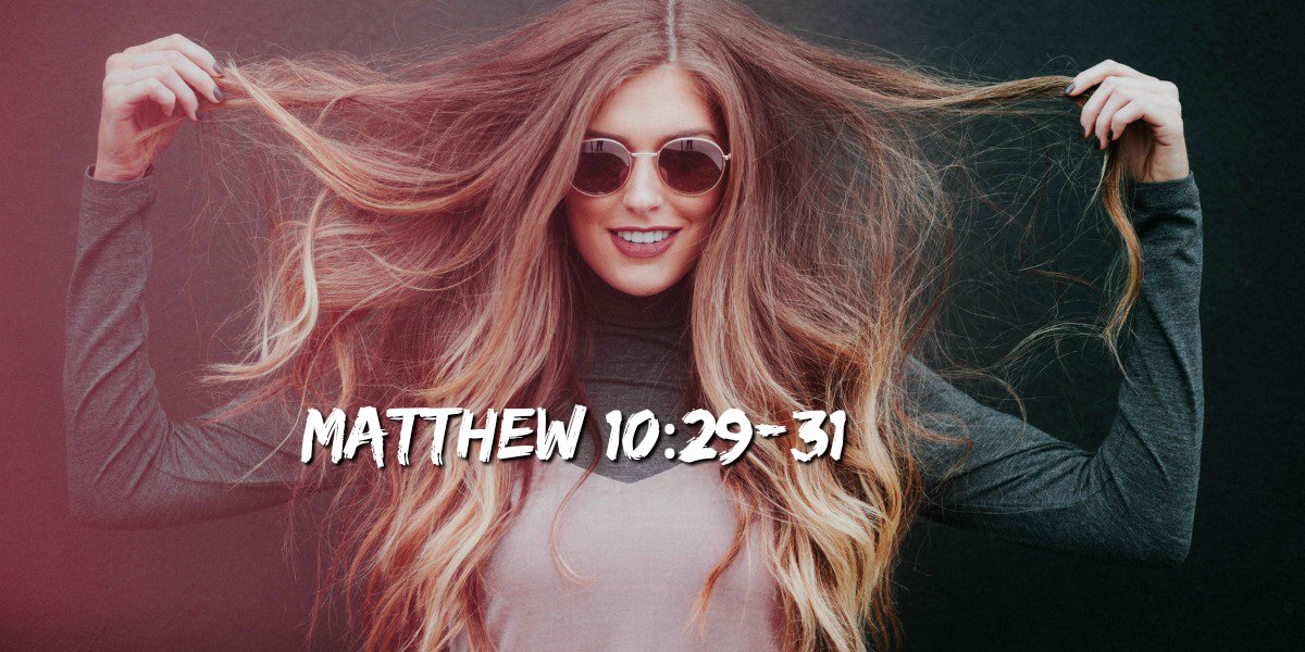 Bible Love Notes Did God Really Say That About Hair? Yes!