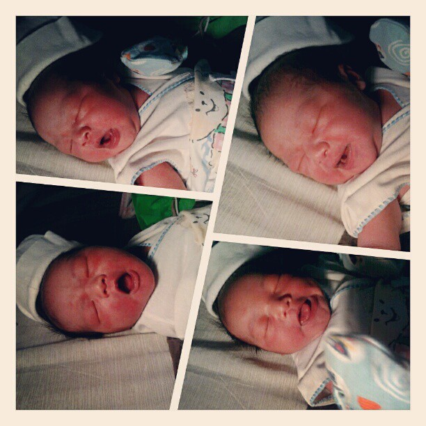 Lotus Birth Bidan Kita