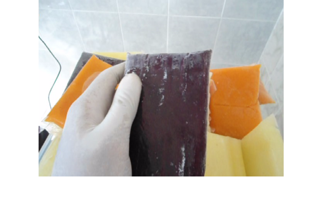 NATURY Chile. Productos Naturales Natury Pulpas Concepto y